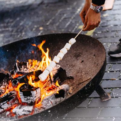 Roasting Marshmallows