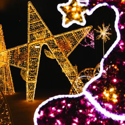 The Paradise of Lights